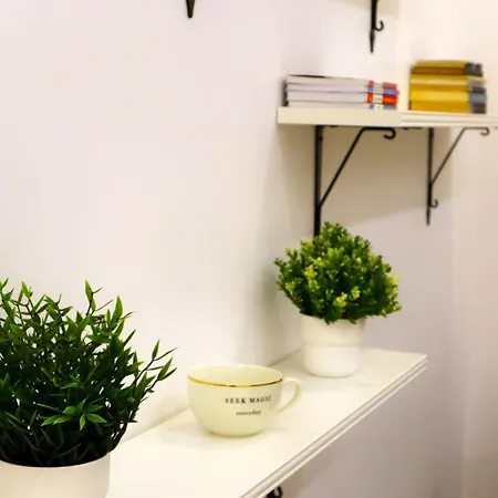 Oak Tree * 布加勒斯特